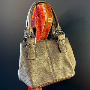 Tignanello Metallic Purse